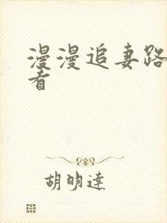 漫漫追妻路免费看封面