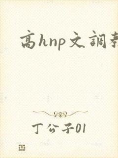 高hnp文调教
