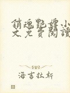 销魂艳婢小说全文免费阅读
