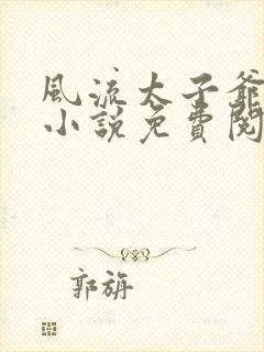 风流太子爷在线小说免费阅读
