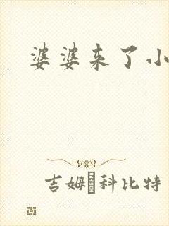 婆婆来了小说