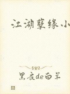江湖孽缘小说