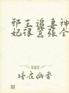 邪王追妻神医狂妃很嚣张全文免费封面