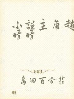 小说主角赵旭李晴晴
