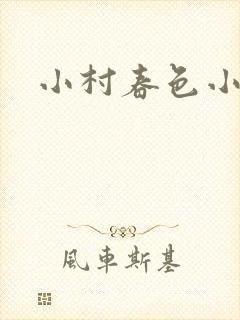 小村春色小说