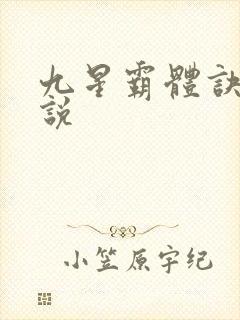 九星霸体诀 小说
