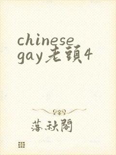 chinesegay老头4封面