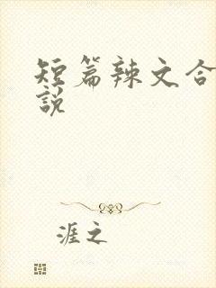 短篇辣文合集小说