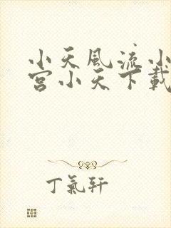 小天风流小说南宫小天下载免费阅读