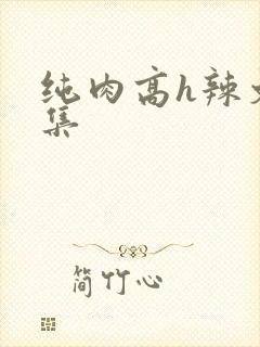 纯肉高h辣文合集
