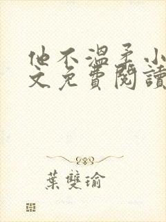 他不温柔小说全文免费阅读无弹窗