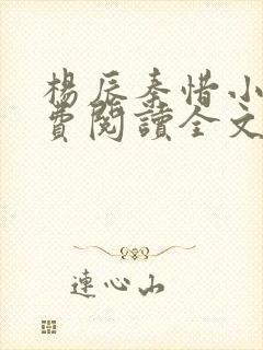 杨辰秦惜小说免费阅读全文封面