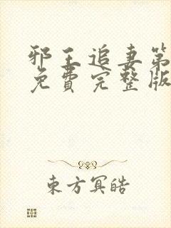 邪王追妻第一季免费完整版