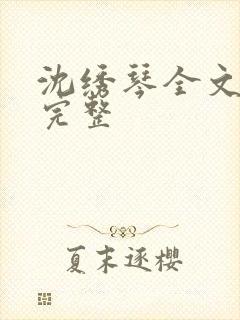 沈绣琴全文阅读完整