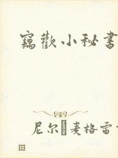 窃欢小秘书封面