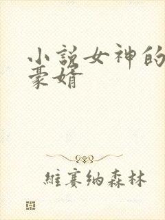 小说女神的上门豪婿封面