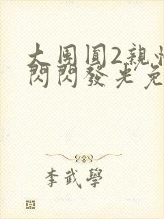 大团圆2亲情会闪闪发光免费