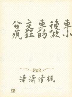 公交车后车座的疯狂的做小