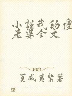 小说我的傻白甜老婆全文封面