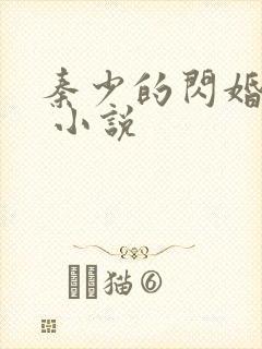 秦少的闪婚娇妻 小说