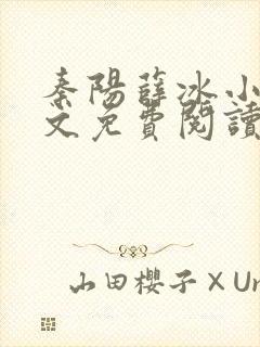 秦阳薛冰小说全文免费阅读无弹窗封面