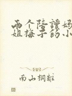 两个陪读妈妈赵姐梅子的小说