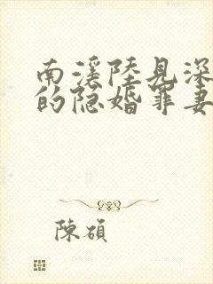 南溪陆见深陆少的隐婚罪妻封面