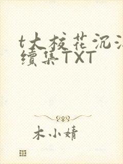 t大校花沉浮录续集TXT