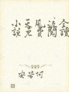 小天风流全集小说免费阅读
