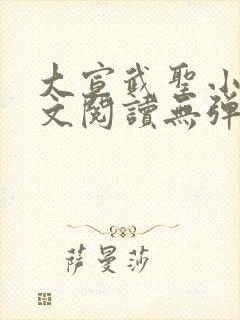 大宣武圣小说全文阅读无弹窗封面