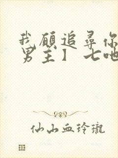 我愿追寻你【双男主】 七吔封面