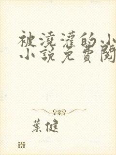 被浇灌的小侯爷小说免费阅读封面