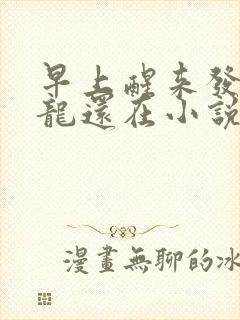 早上醒来发现巨龙还在小说