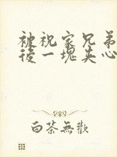 被祝家兄弟共享后一块夹心饼封面