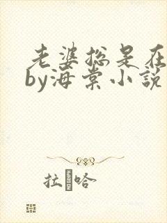 老婆总是在站姐by海棠小说免费阅读封面