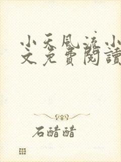 小天风流小说全文免费阅读无弹窗封面
