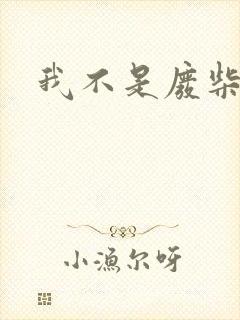 我不是废柴