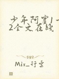少年阿宾1一72全文在线