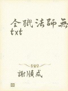 全职法师无删减txt