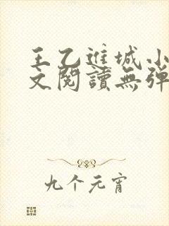 王乙进城小说全文阅读无弹窗