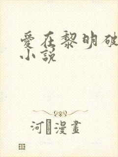 爱在黎明破晓前小说