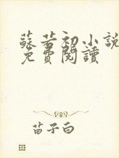 苏若初小说全文免费阅读封面