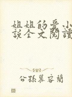 姐姐的爱小帆小说全文阅读