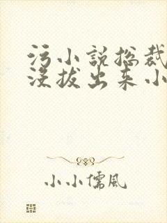 污小说总裁整夜没拔出来小说在线阅读封面