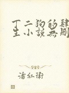 丁二狗的肆意人生小说无删减全文阅读