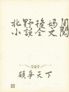 北野后妈周继烨小说全文阅读
