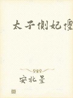 太子侧妃傻乎乎封面