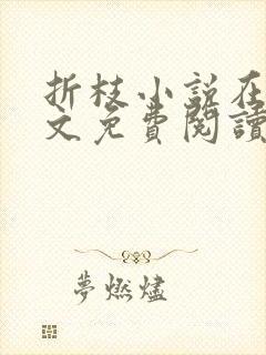折枝小说在线全文免费阅读无弹窗