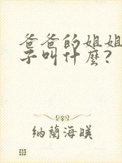 爸爸的姐姐的儿子叫什么?
