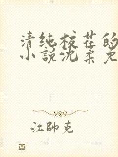 清纯校花的日常小说沈柔免费阅读